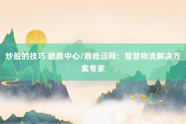 炒股的技巧 皓鼎中心/鼎皓运网：智慧物流解决方案专家