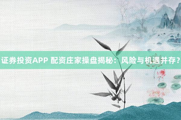 证券投资APP 配资庄家操盘揭秘：风险与机遇并存？