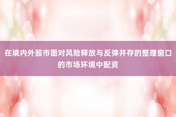 在境内外股市面对风险释放与反弹并存的整理窗口的市场环境中配资