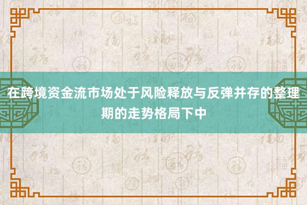 在跨境资金流市场处于风险释放与反弹并存的整理期的走势格局下中